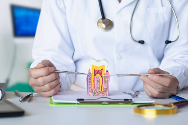 Best Emergency Tooth Extraction in Independence, MN